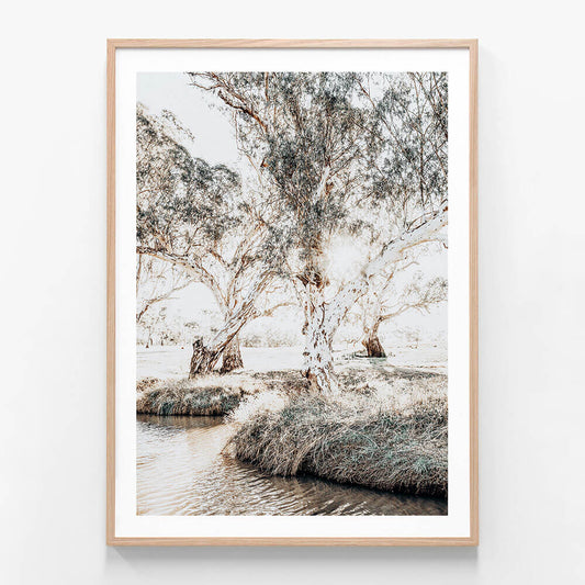 A framed print featuring gum trees next to a creek in Australia