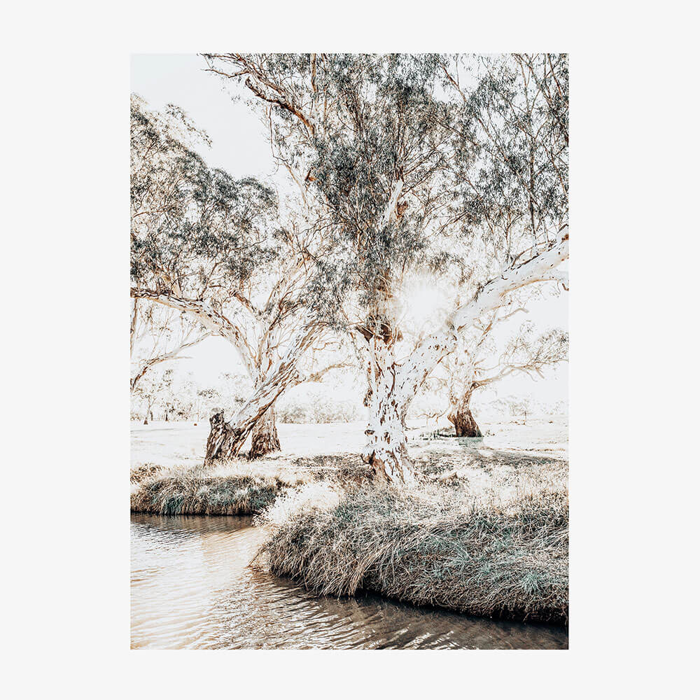 Afternoon at the Creek