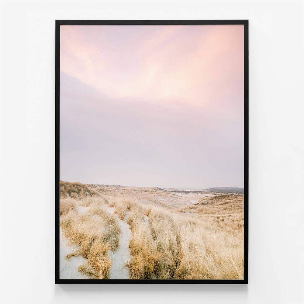 Ameland Dunes