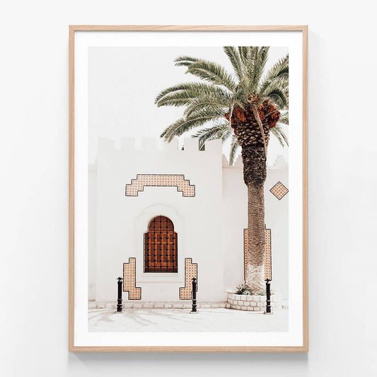 Arabian Palm
