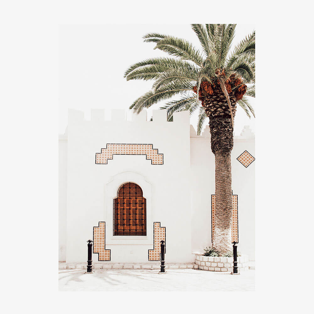 Arabian Palm