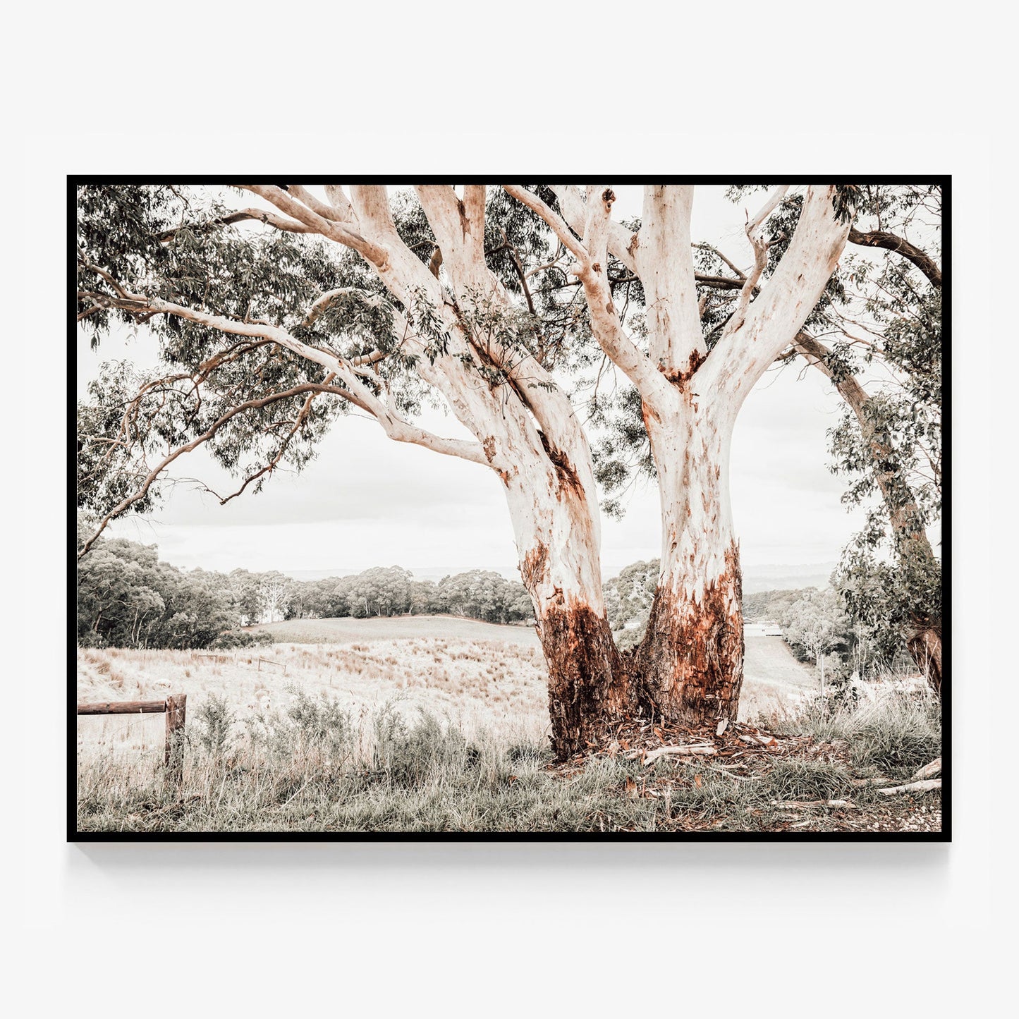 Australian Hills Canvas