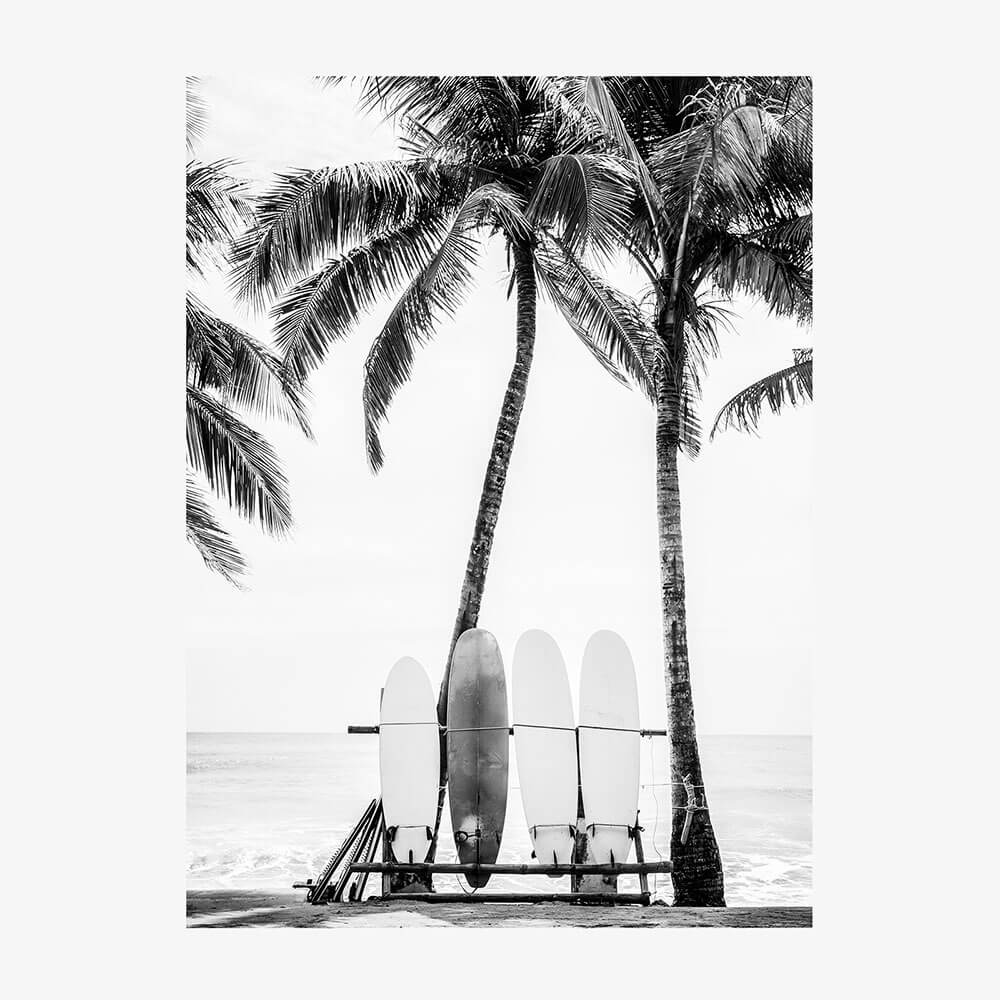 Beach Boards