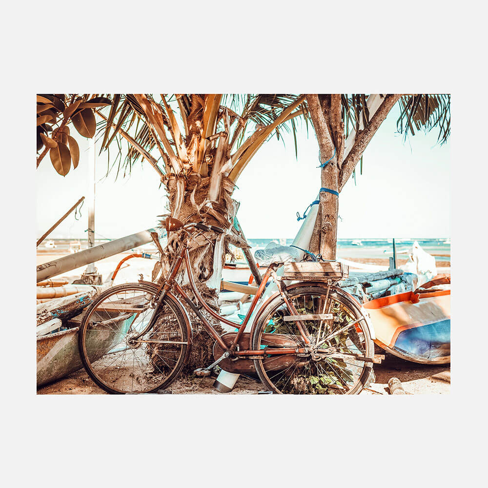 Beach Cruiser
