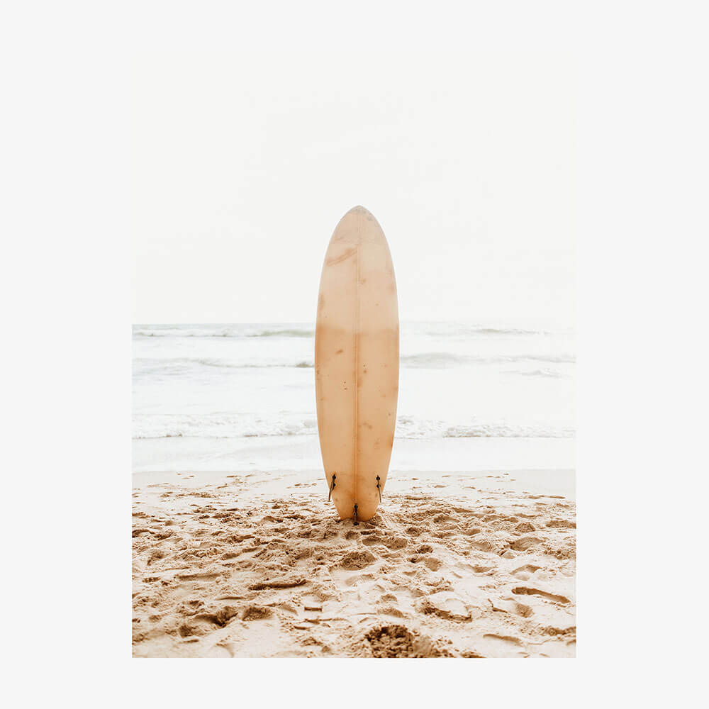 Beach Day