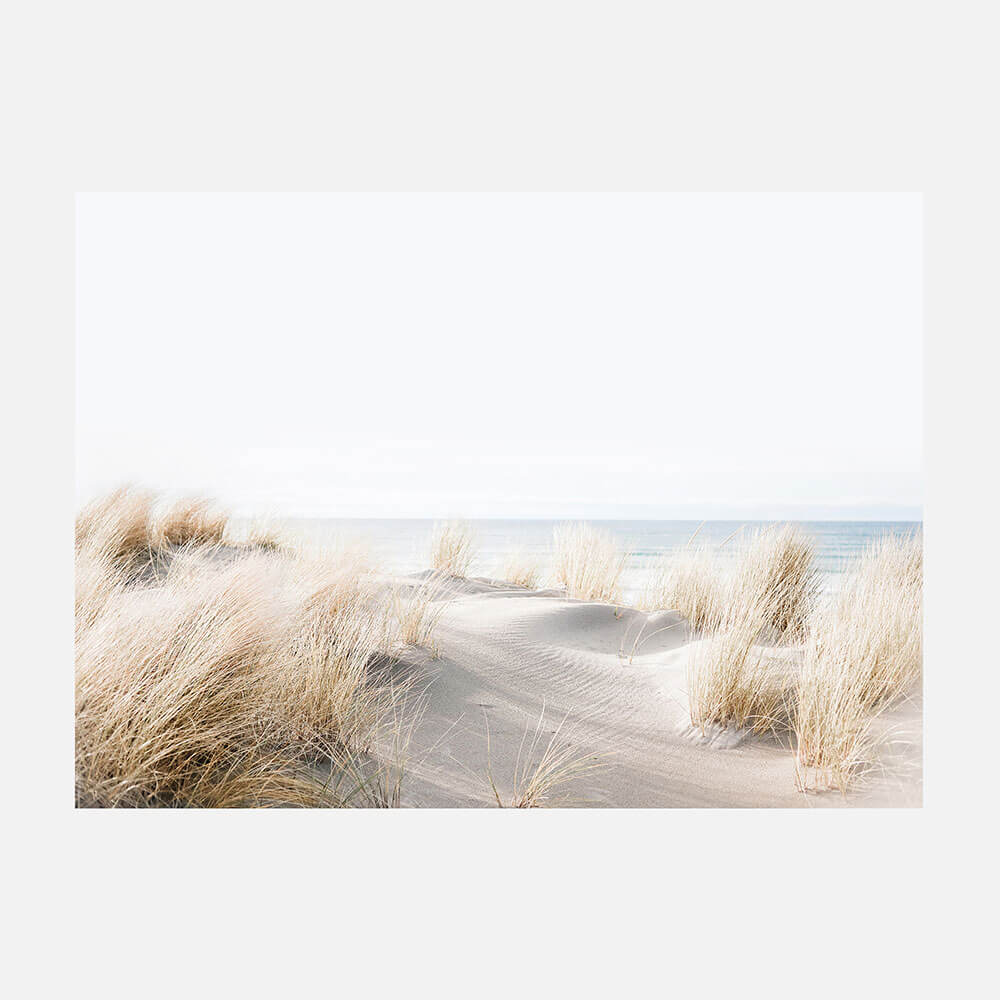 Beach Dunes