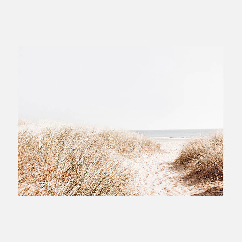 Beach Grass