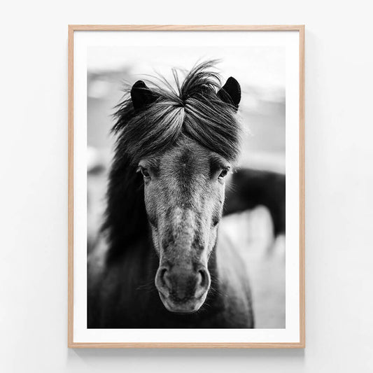A black and white photo framed print of a horse with a mane in a portrait orientation.