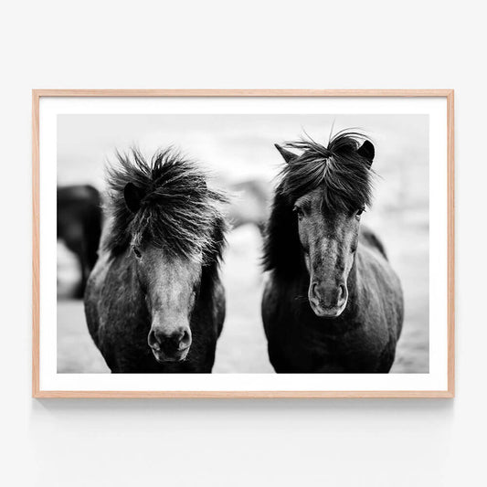 Black Horses
