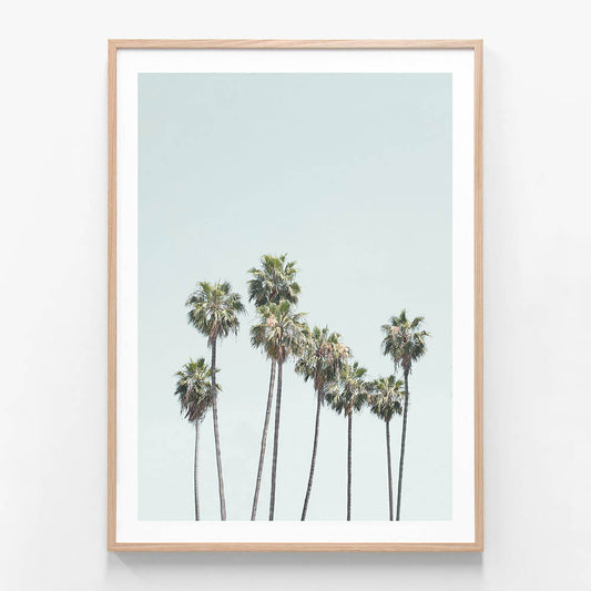 Blue Palm Trees