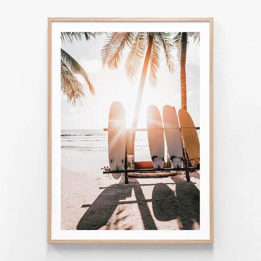 Boards in the Sun