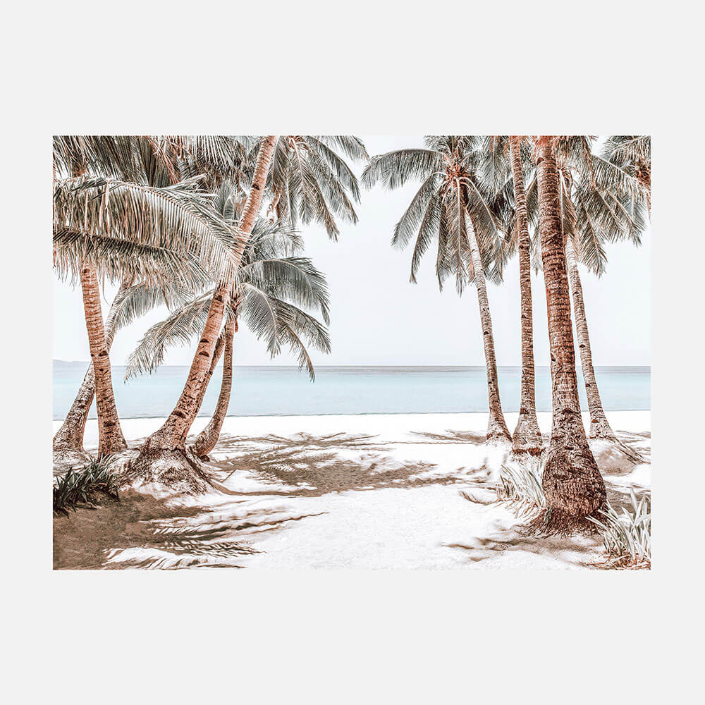 Boracay Palms