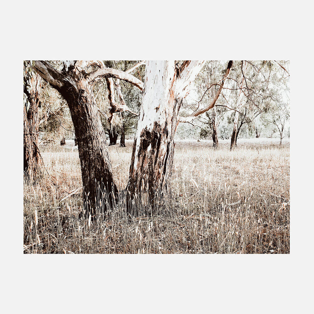 Bushland