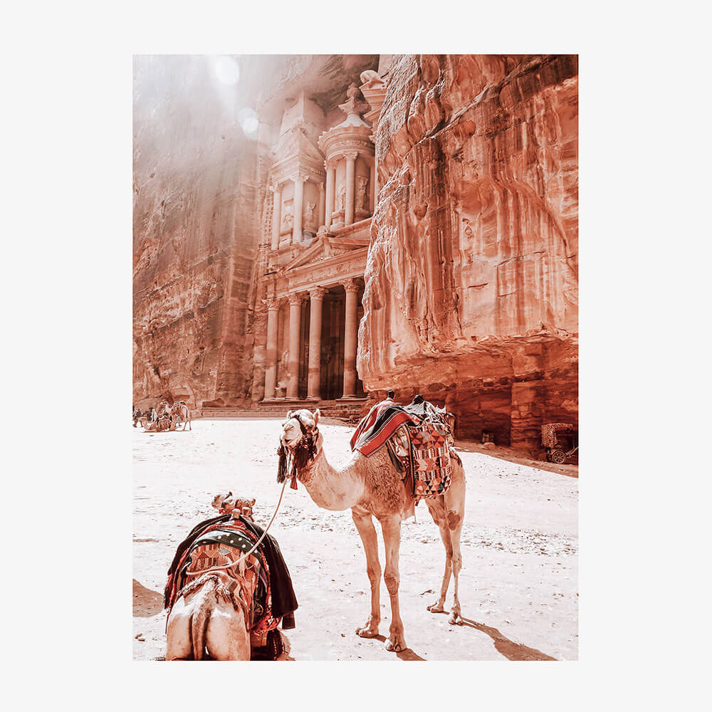 Camels of Petra No. 2