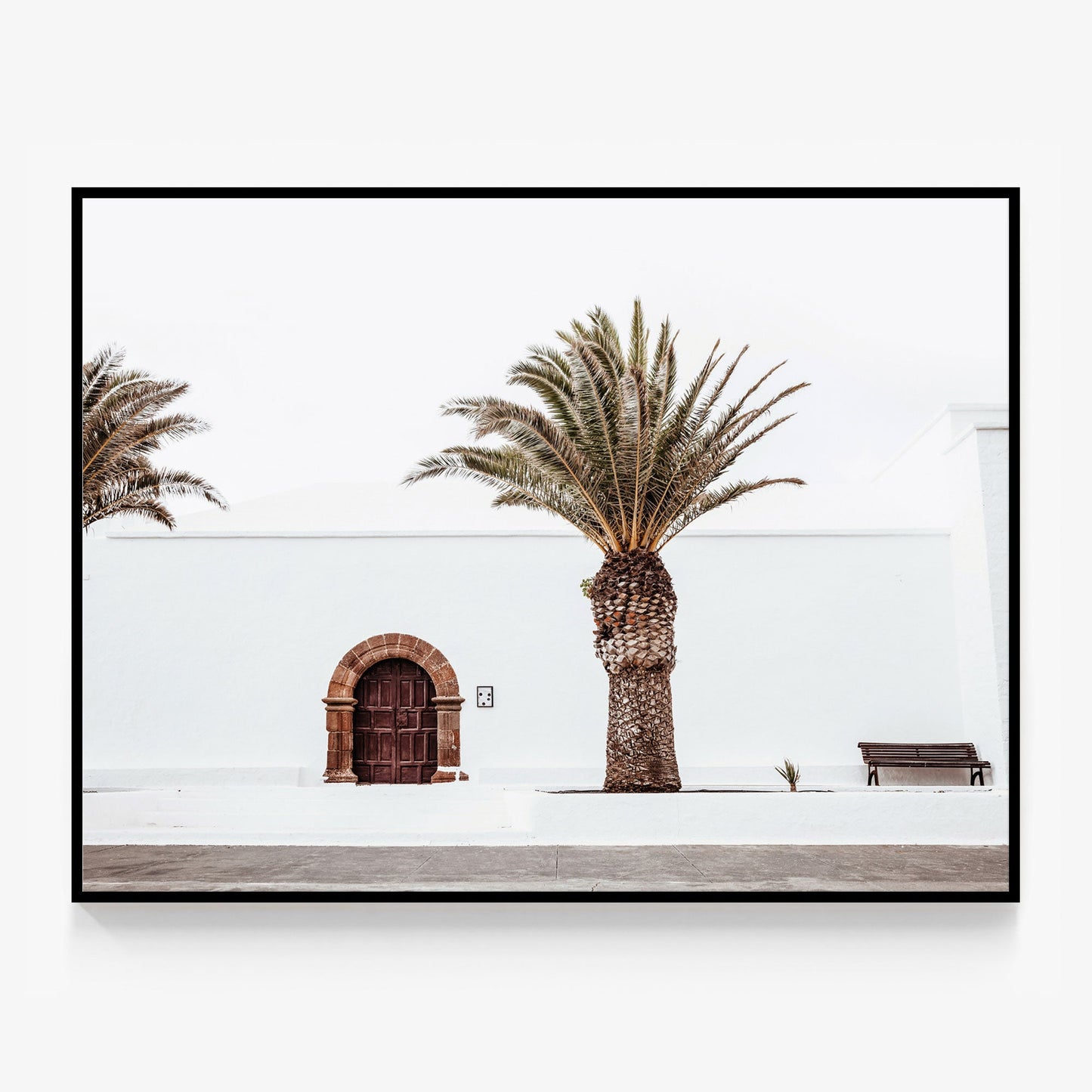 Casa Palm Canvas