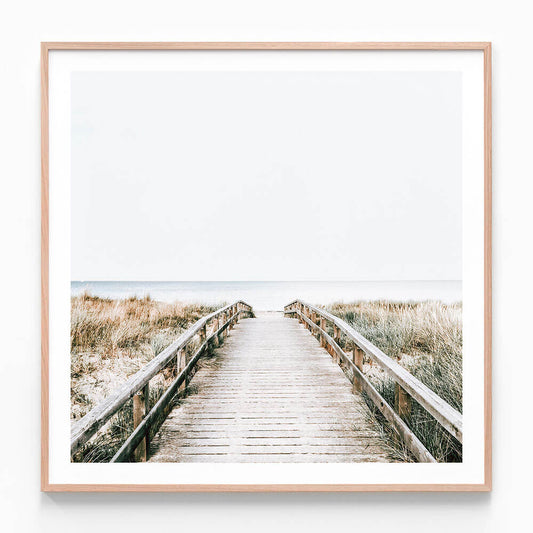 Coastal Boardwalk
