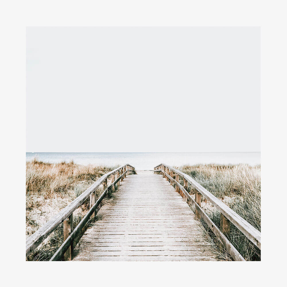 Coastal Boardwalk