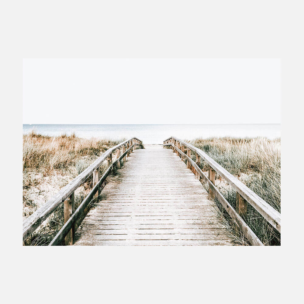 Coastal Boardwalk