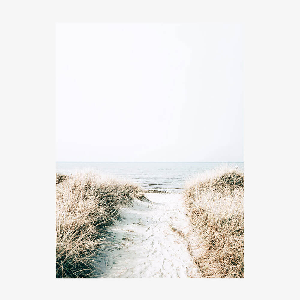 Coastal Pathway