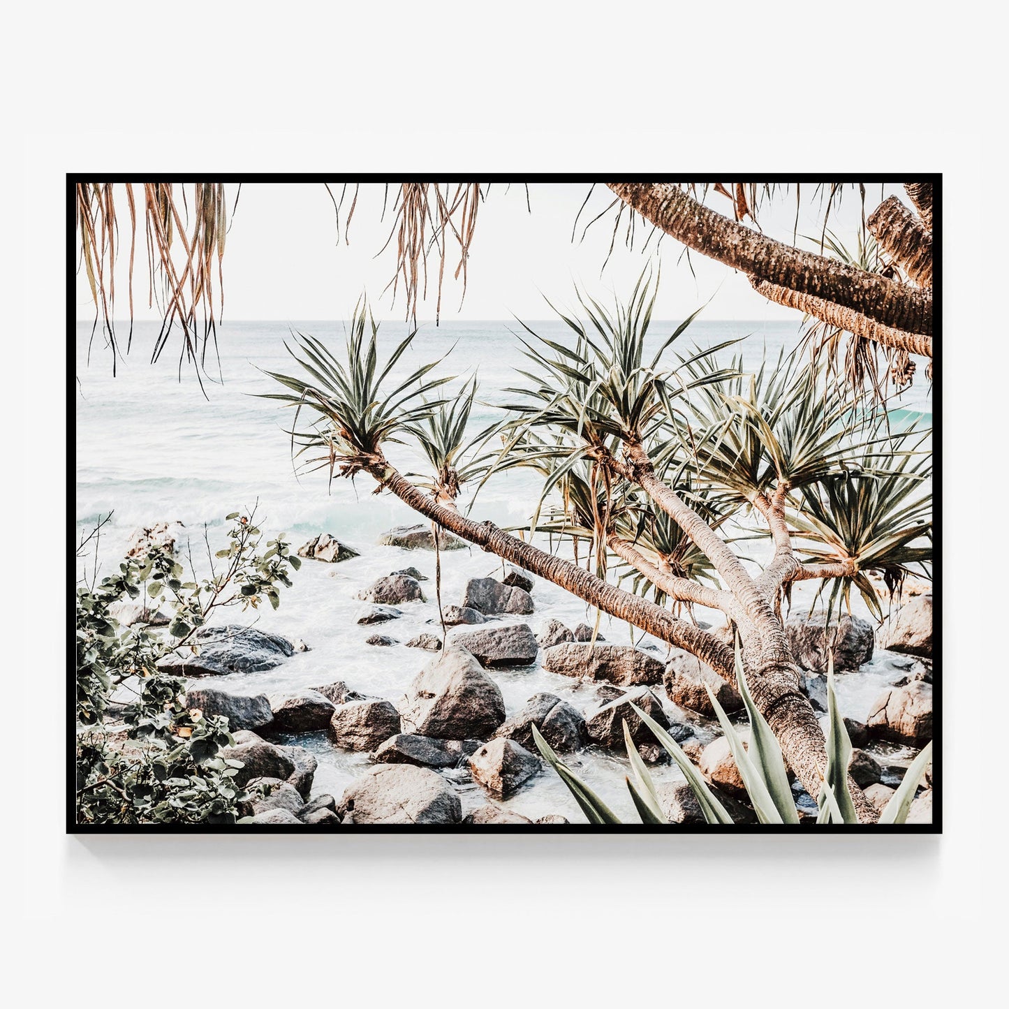 Coastal Pines Canvas