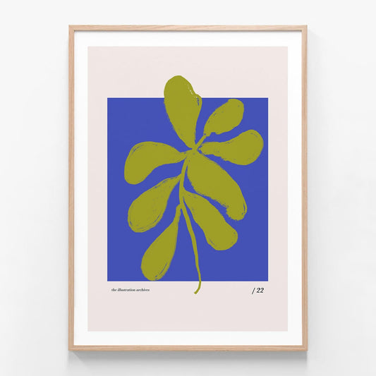 Coral Study 4 oak framed print