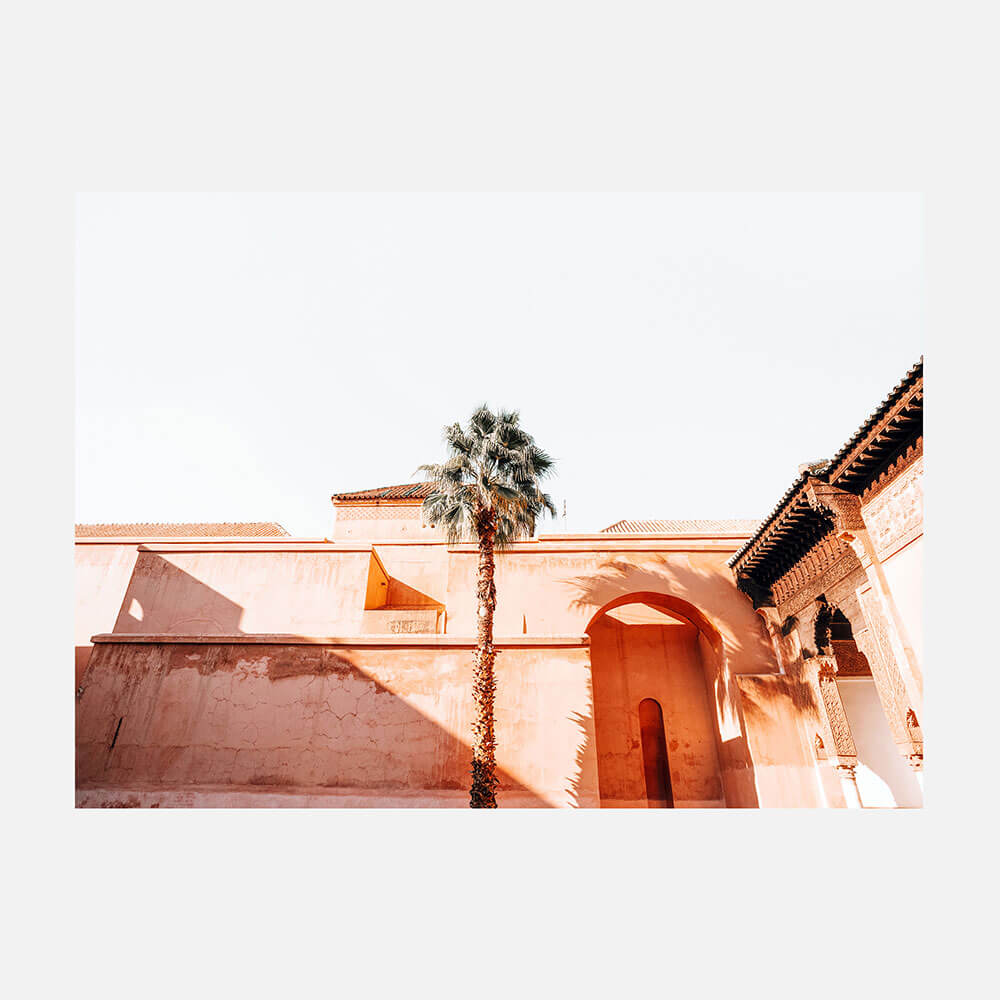 Courtyard Palm
