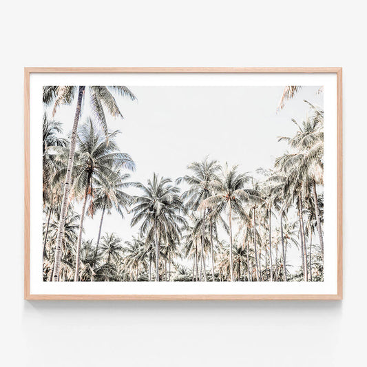 Deep Tropics