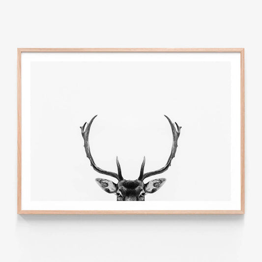 A black and white framed print of deer antlers against a white background.