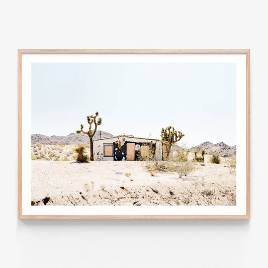 Desert Life