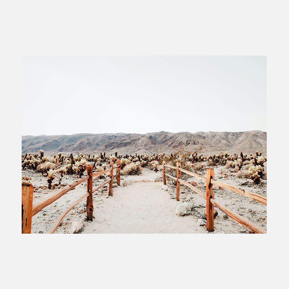 Desert Path