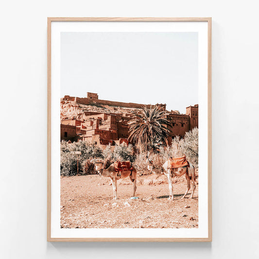 A framed print featuring camels in the desert outside a kasbah in Morocco.