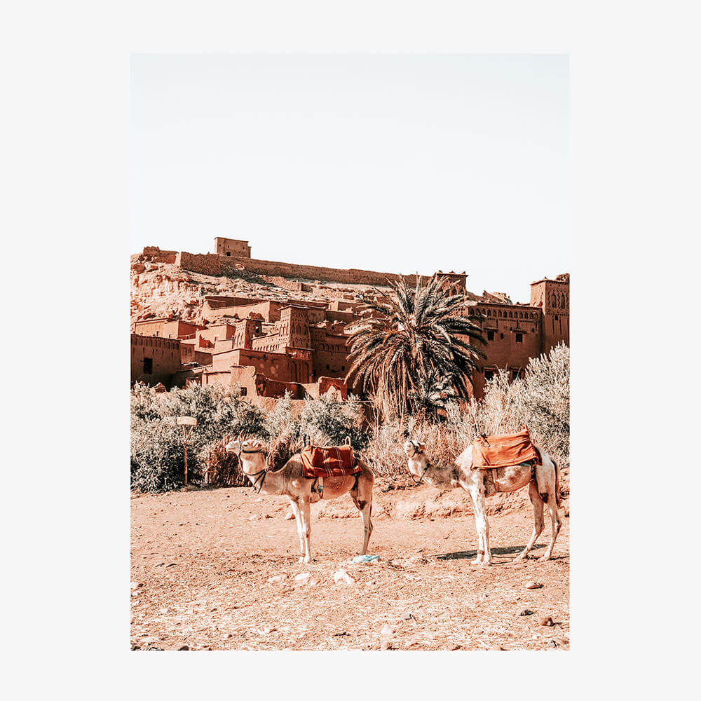 Desert Taxi