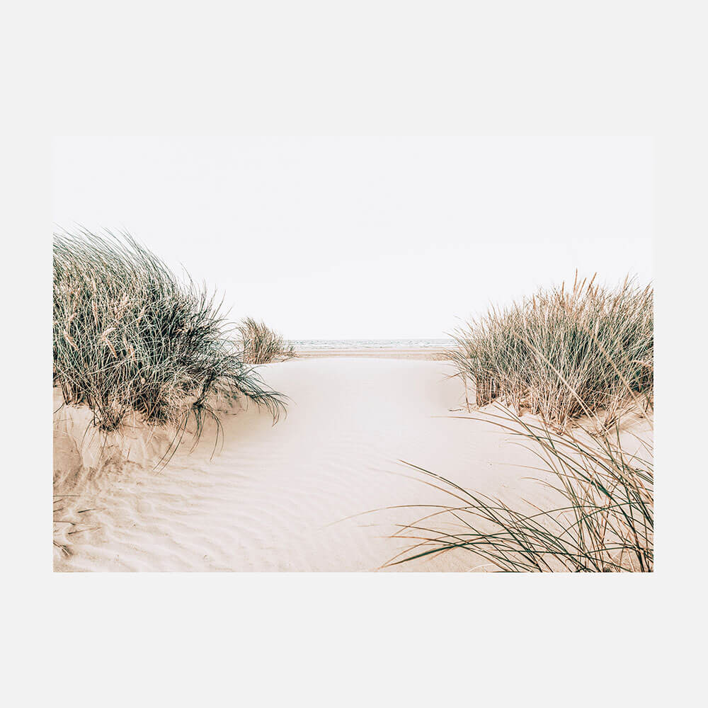 Dune Entrance