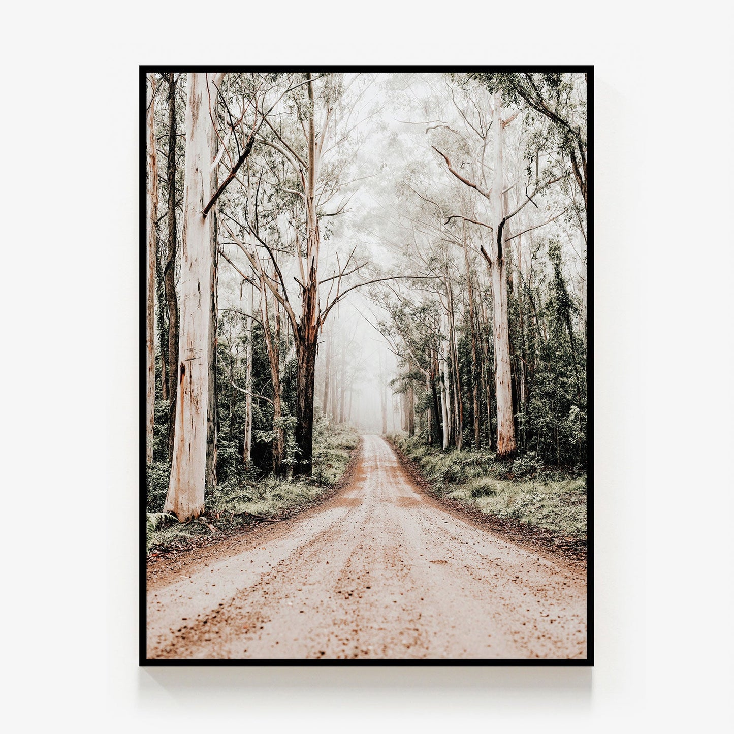 Forest Road Canvas