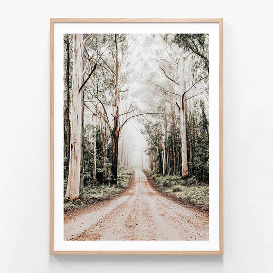 Forest Road wall art print in oak frame