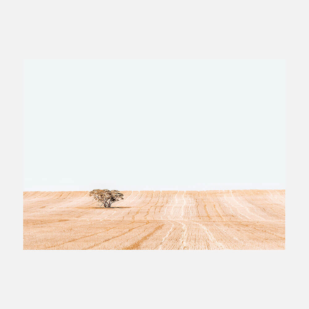 Golden Harvest