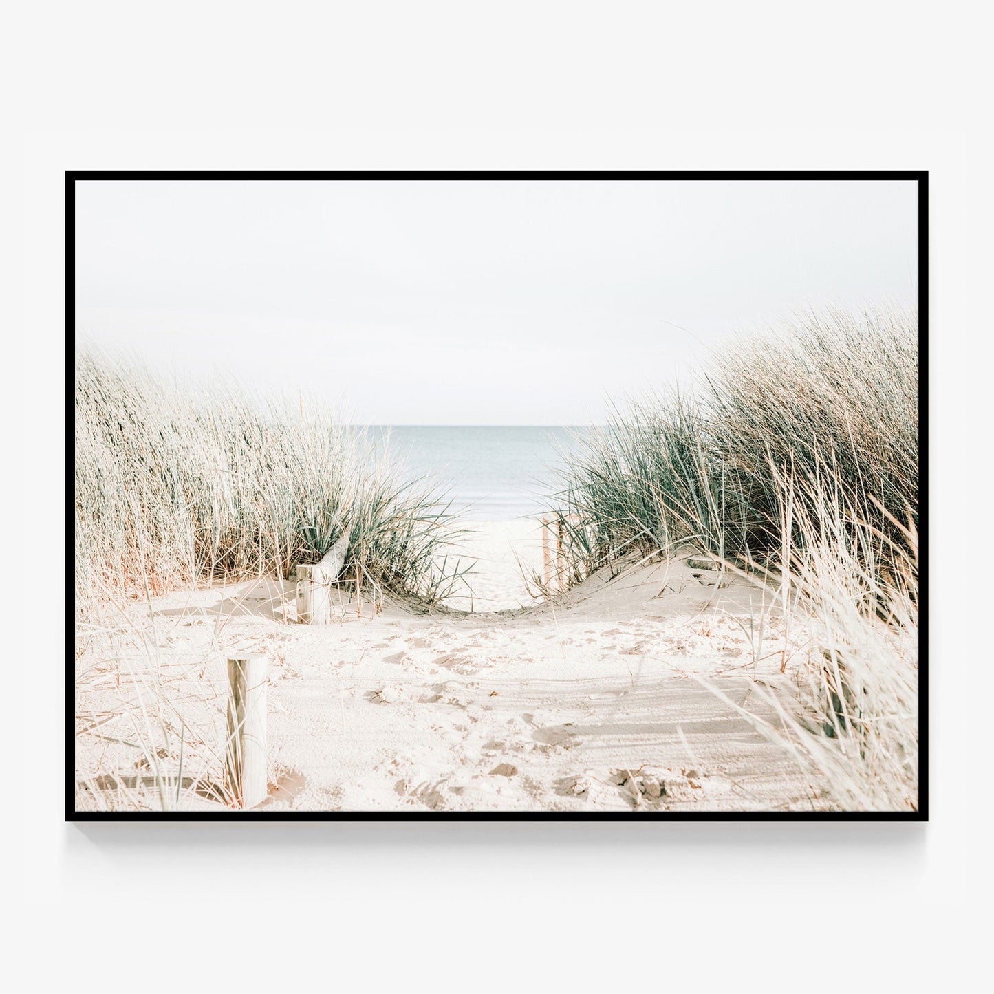 Grassy Dunes Canvas