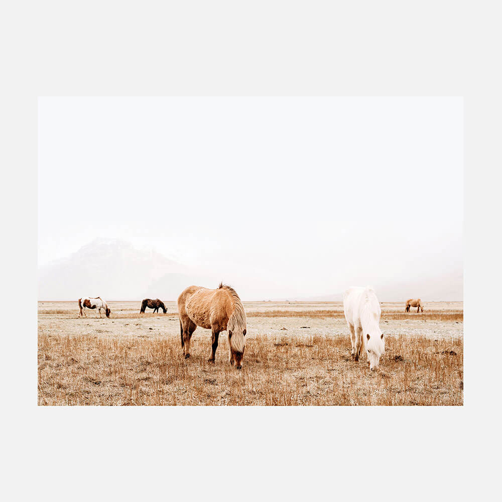 Grazing
