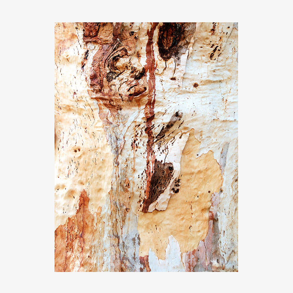 Gum Bark