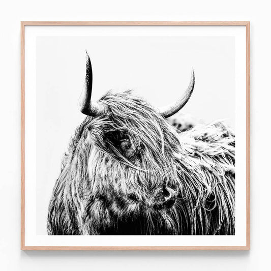 Hamish B&W