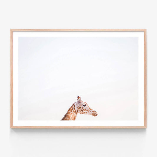 Happy Giraffe