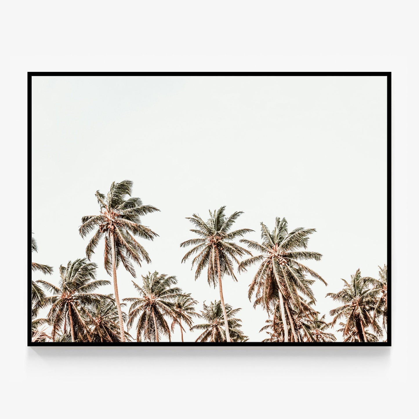 Hawaii Palms Canvas