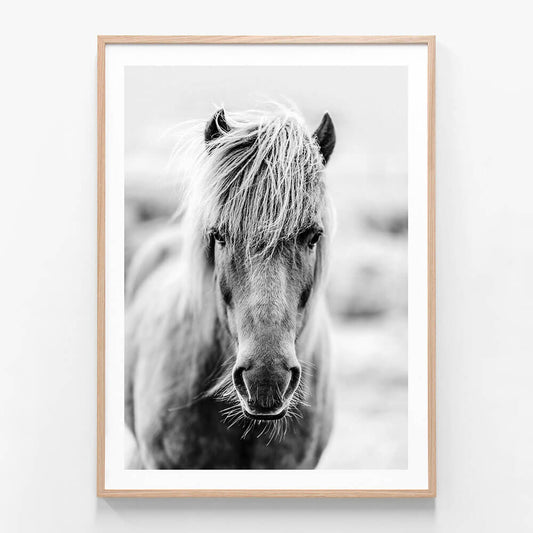 Icelandic Portrait