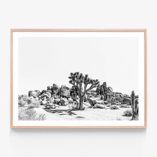 Indio B&W