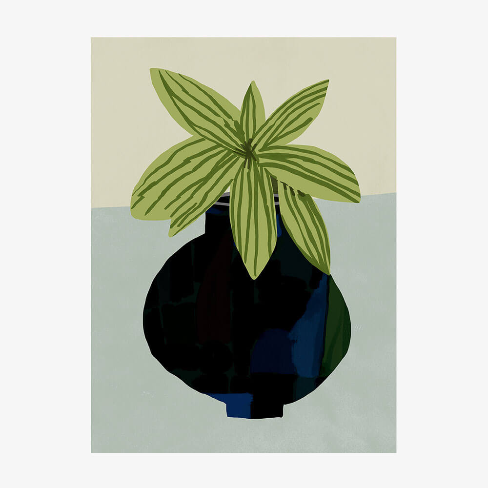Indoor Plant