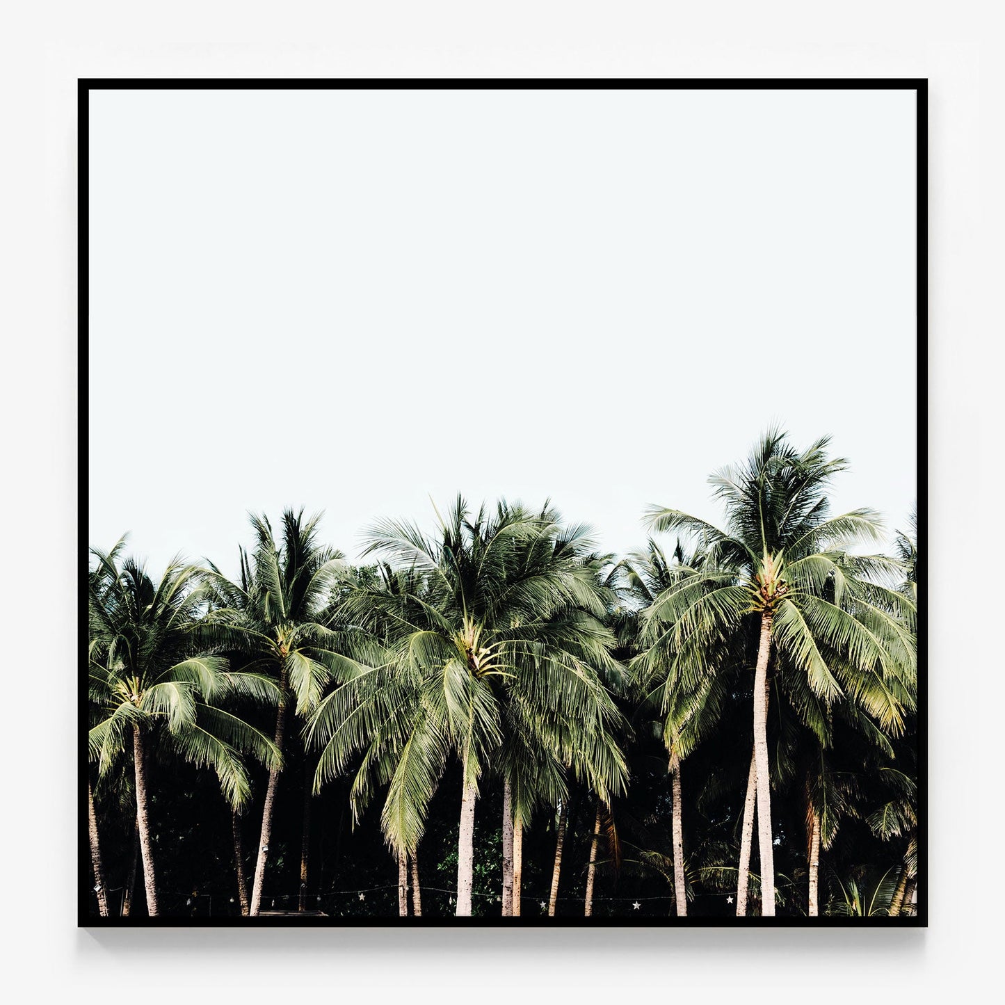 Island Vibes Canvas