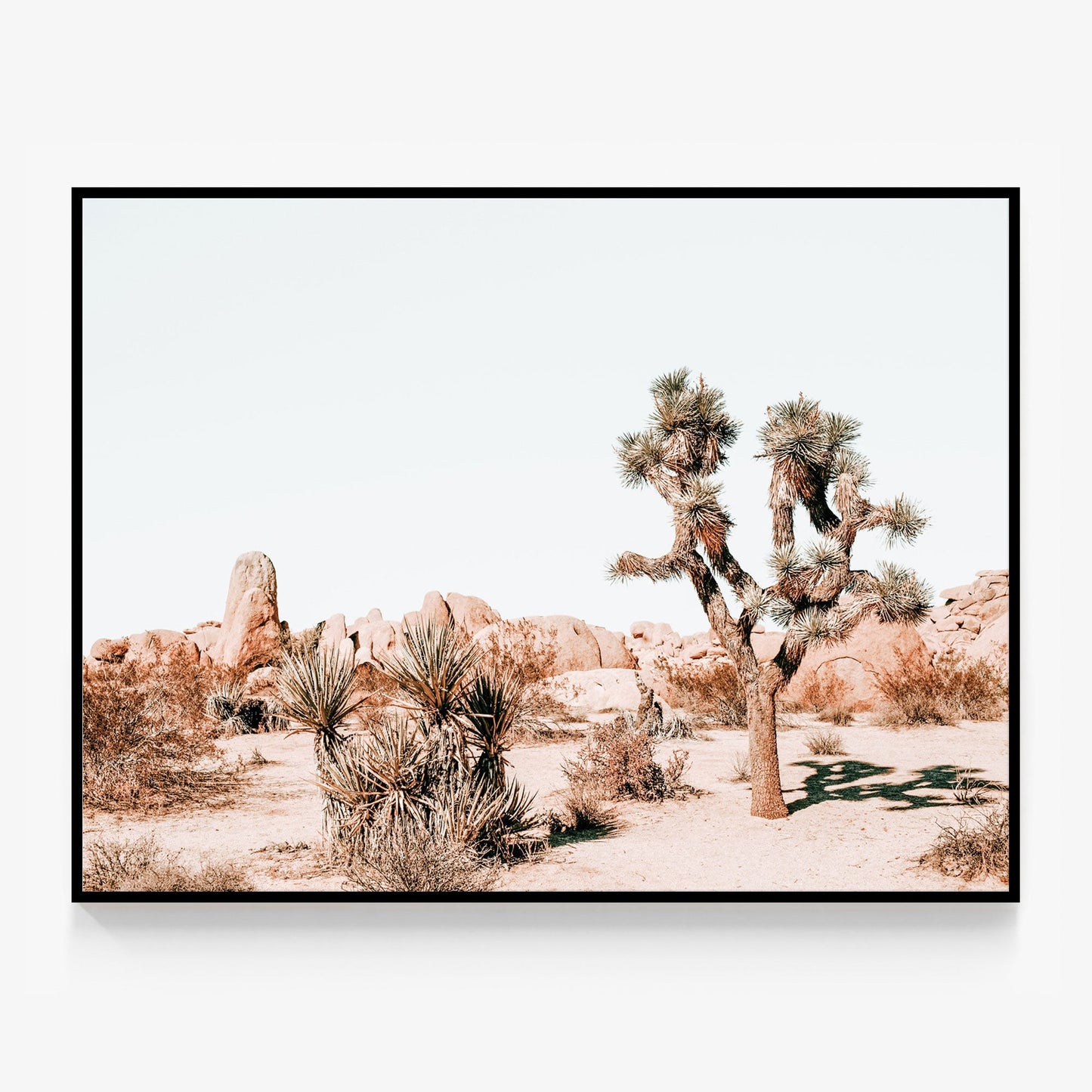 Joshua Tree Canvas