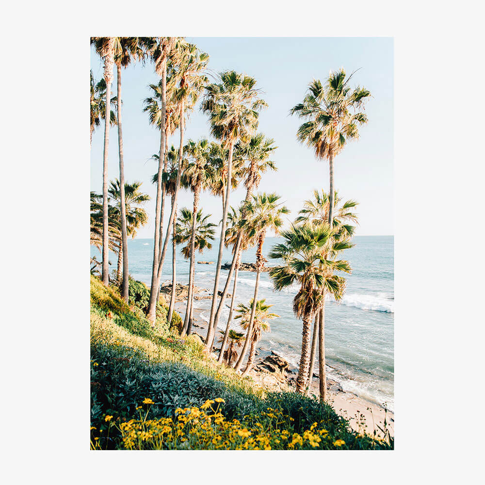 Laguna Beach