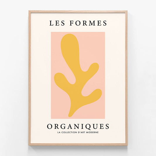 Les Formes Organiques oak framed print