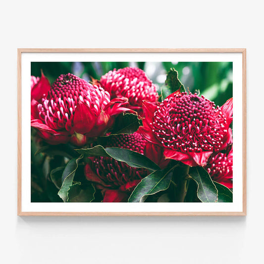 Madeira Florals